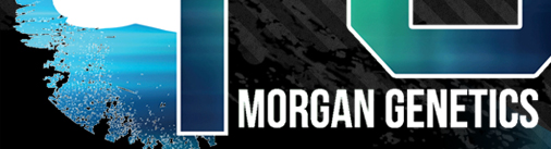 Morgan Genetics