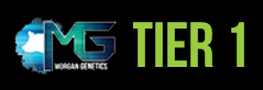 Tier 1