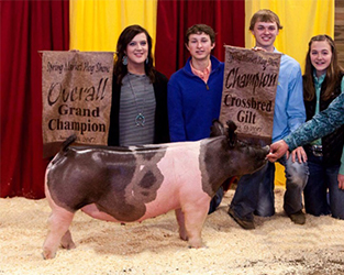 Winners